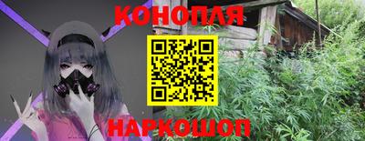гашик Будённовск