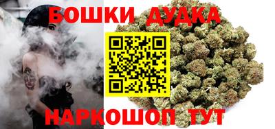 гашик Будённовск