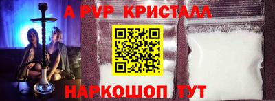 гашик Будённовск