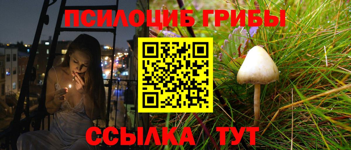 Нерюнгри  Псилоцибиновые грибы MAGIC MUSHROOMS  Вход с VPN  Псилоцибиновые грибы прущие грибы 